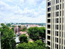 Suites @ Newton (D11), Apartment #478683041